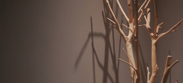 大理莫问炁舍海景美宿(海舌公园生态廊道店)图片