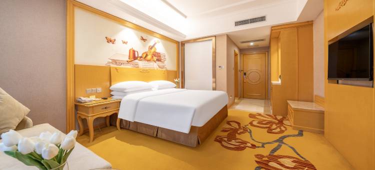 维也纳酒店(防城港防城店)图片