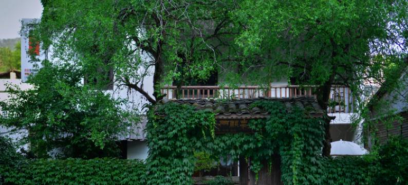 景德镇两颗枣墅民宿(三宝国际陶艺村店)图片