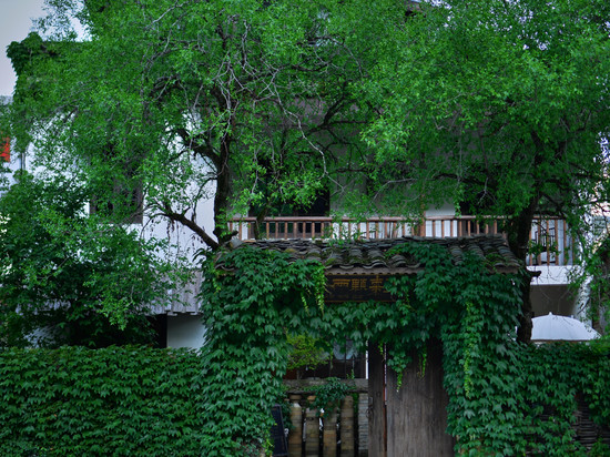 景德镇两颗枣墅民宿(三宝国际陶艺村店)