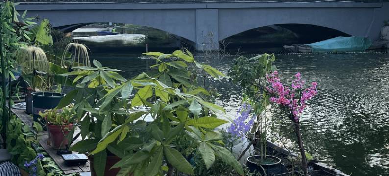 拾间·淼水楼民宿(青浦朱家角地铁站店)图片