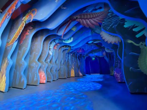 抚仙湖宝麗湾酒店及度假村图片