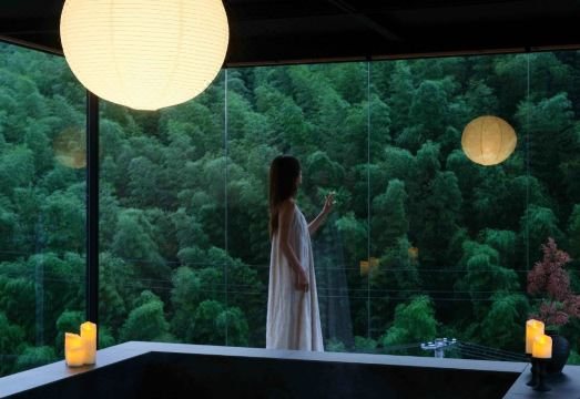 Anji Yinshanji Bed and Breakfast over view