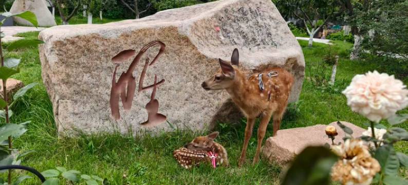 山海关58号民宿(秦皇岛山海关站店)图片