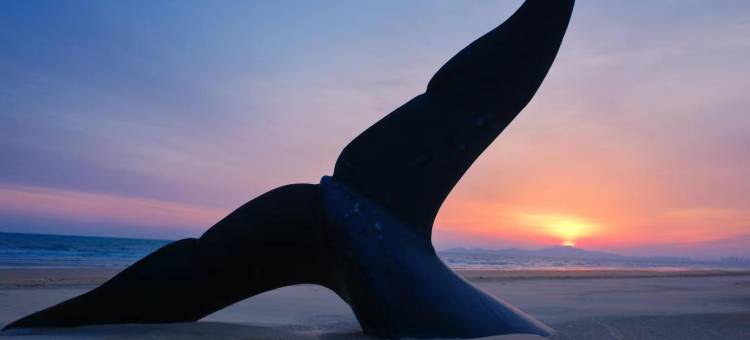 艾维汀酒店图片