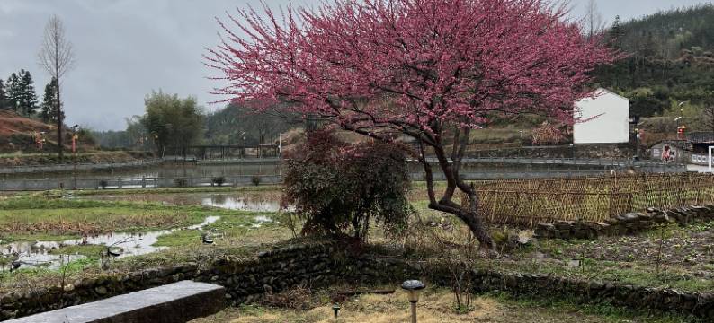 古竹山水精品民宿图片