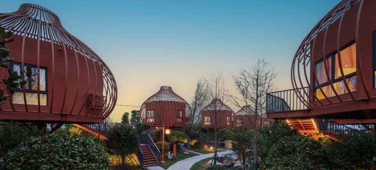 一听·采桑湖观鸟民宿图片