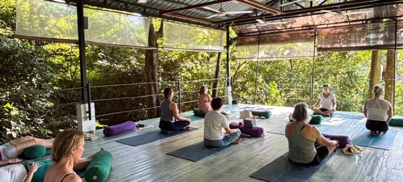 艾姆帮雨林度假酒店(Ambong Rainforest Retreat)图片