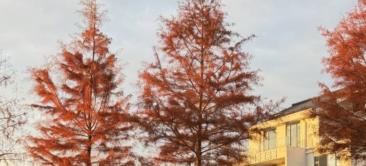 泰顺日暮里美宿(交垟土楼店)图片