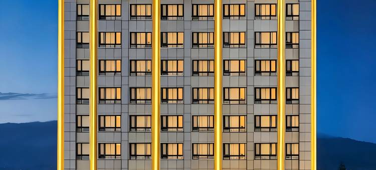 温州泰顺鸿鑫大酒店(新鸿广场人民医院店)图片