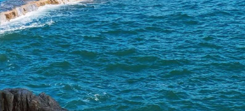 花筑·青岛梦之船海景酒店图片