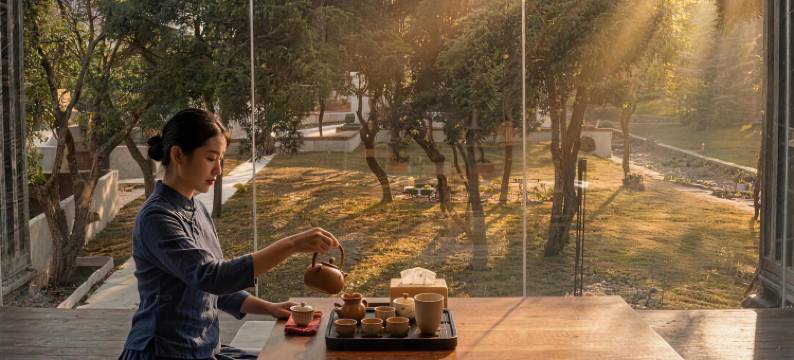 和光·树溪美学民宿图片