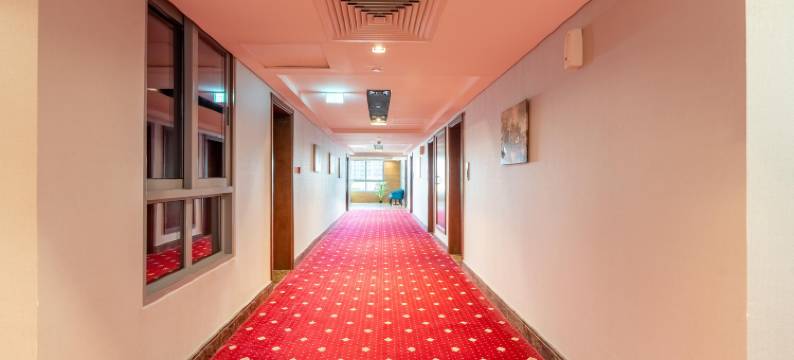 塔姆尔旅馆酒店(Tamr Inn Hotel)图片