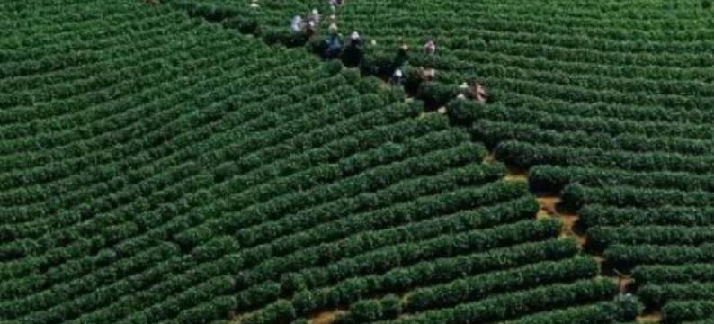 安吉水雲轩·山野溯溪漂流亲子度假美宿图片