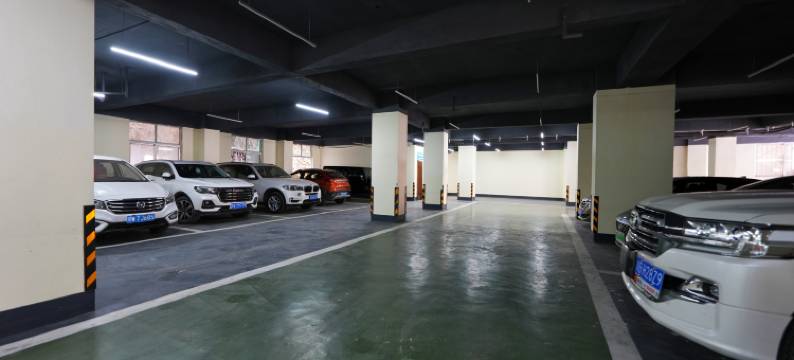 德格浙川康巴大酒店(印经院店)图片