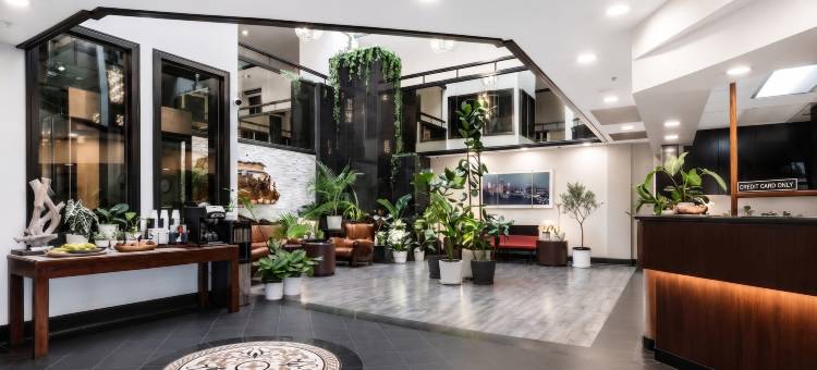 国际酒店(Hotel International)图片