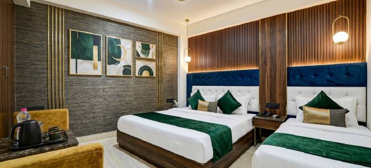 Hotel Edission View --Near Delhi Airport图片