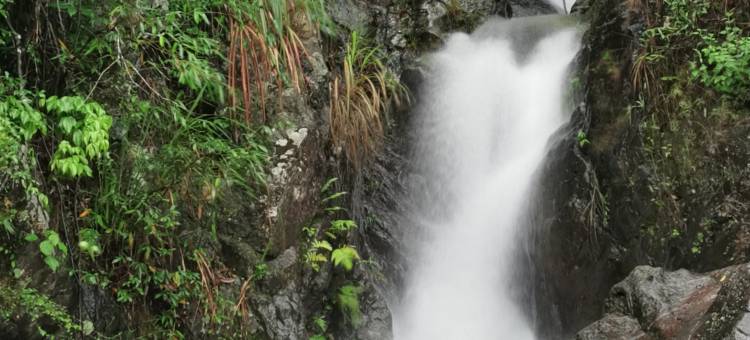 连平趣田野民宿图片