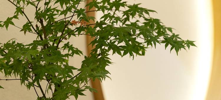 时光驿客栈图片