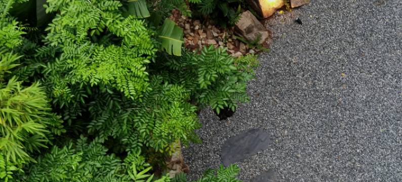 良宵隐·WONDERLAND INN图片