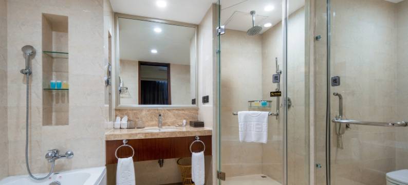 南京中琅假日酒店图片