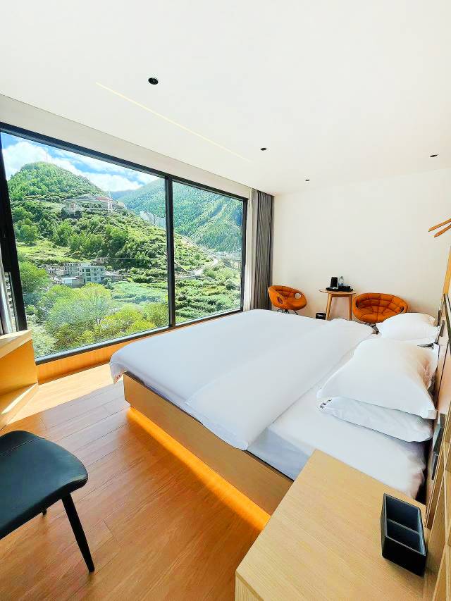 望山·溪里dream高端设计师观山景美宿(四姑娘山店)图片