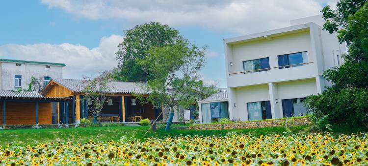 鸠兹湾度假村图片