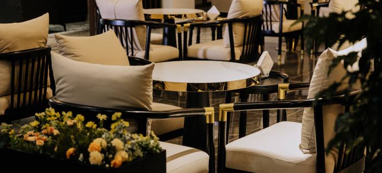 锦宸柏悦酒店(恩阳古镇店)图片