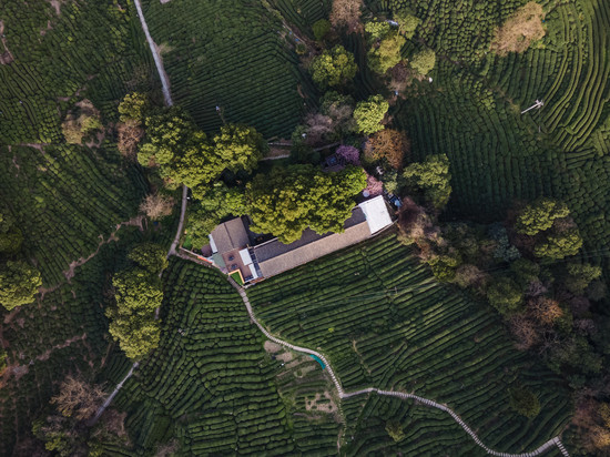 杭州龙井茂居酒店