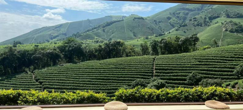 树下小白屋·小羊肖恩主题民宿(安吉白茶观景平台店)图片