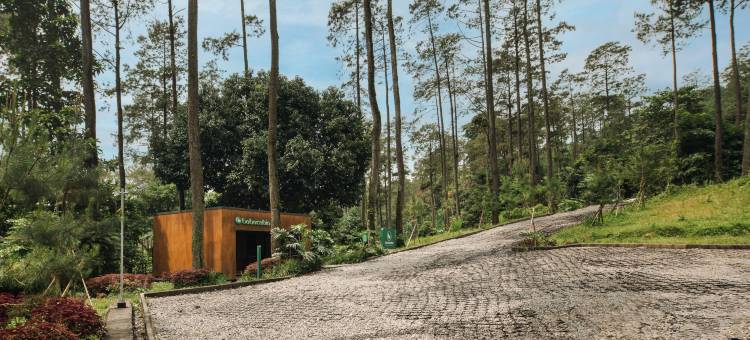 波波卡宾帕杜桑酒店(Bobocabin Pacet, Mojokerto)图片