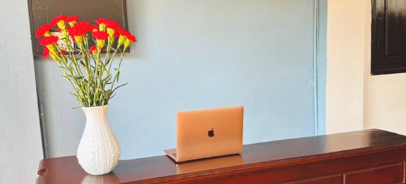 乌敦里斯别墅(Luang Prabang Oudomlith Villa & Travel)图片