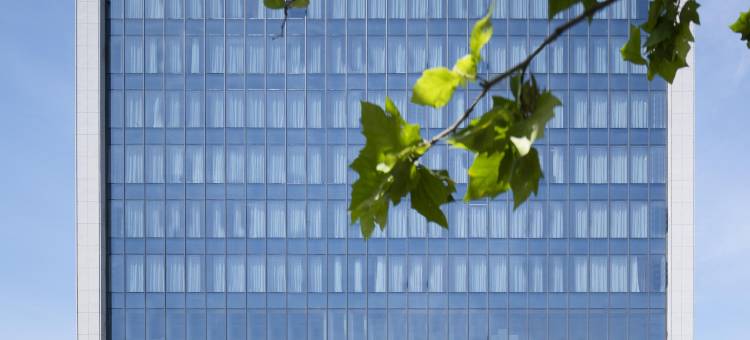 桐城沐雅天际酒店图片