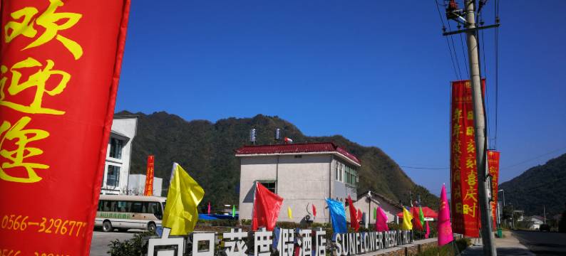 石台向日葵度假酒店图片