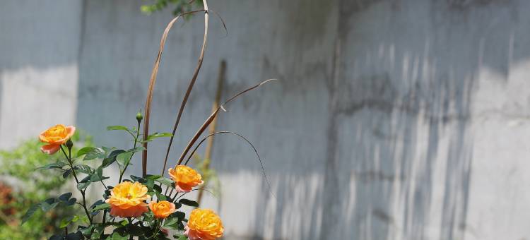 金篝沟·Landscape观景休闲度假山宿图片
