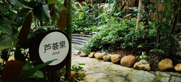禾达盛温泉酒店(勐泐大佛寺曼弄枫旅游度假区店)图片