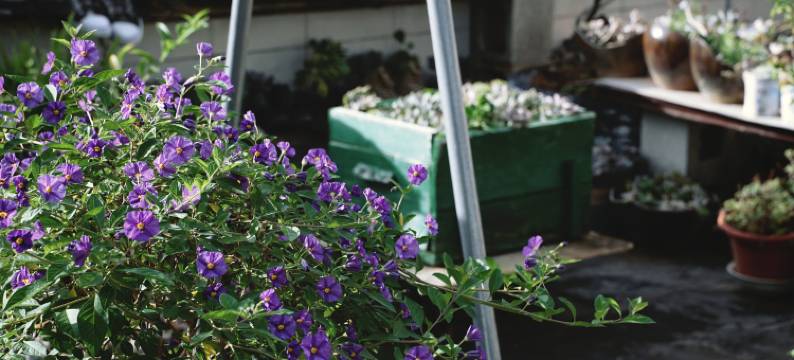 腾冲贝雷帽国际青年旅舍图片