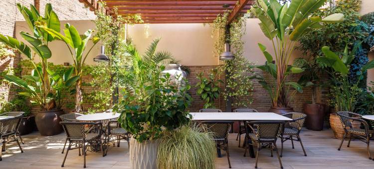 隆达雷赛布酒店(Hotel Ronda Lesseps)图片