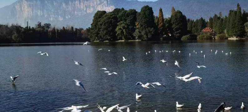 昆明远山雅致湖景别墅酒店(滇池民族村店)图片