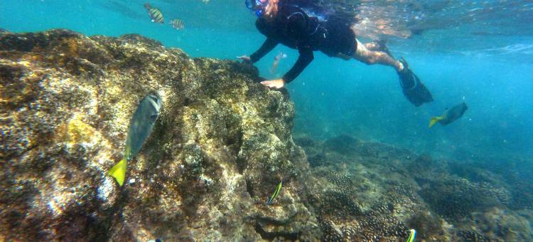 盛大嘉年华美洲洛斯卡波斯全包高尔夫温泉酒店(Grand Fiesta Americana Los Cabos All Inclusive Golf & Spa)图片