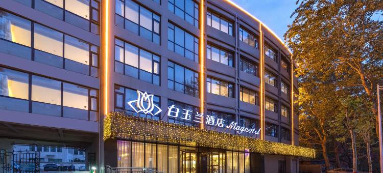 白玉兰酒店(邯郸东站市政府店)图片