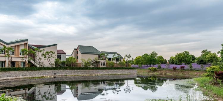 上海百万石温泉酒店(比斯特购物村店)图片