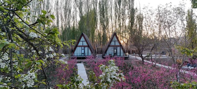 敦煌23号别院图片