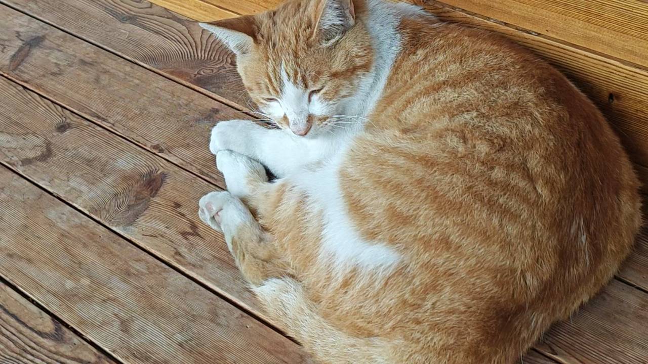 天眼云爵民宿(中国天眼科普基地店)图片