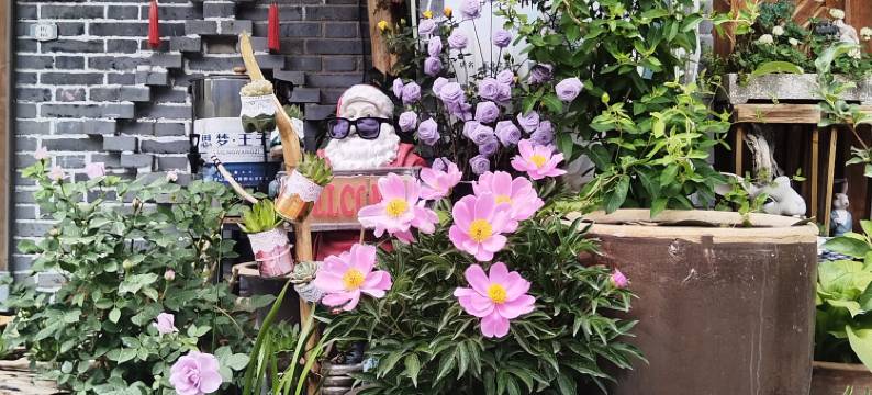 静老师民宿图片