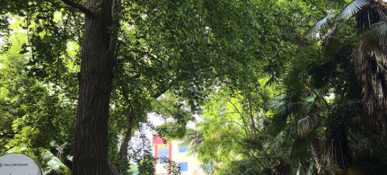 南京师范大学南山专家楼图片