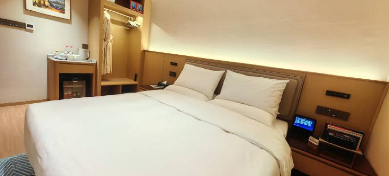 乌鲁木齐臻园国际酒店(天山国际机场店)图片