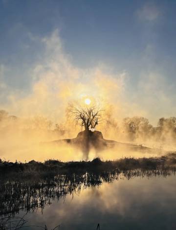 锦颐优选酒店(呼和浩特巨海城国际会展中心店)图片