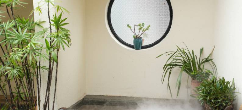 宋喜鸳鸯树客栈图片