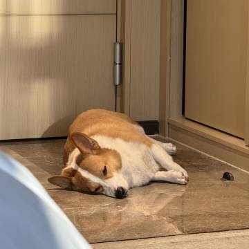 巴塘开源酒店图片